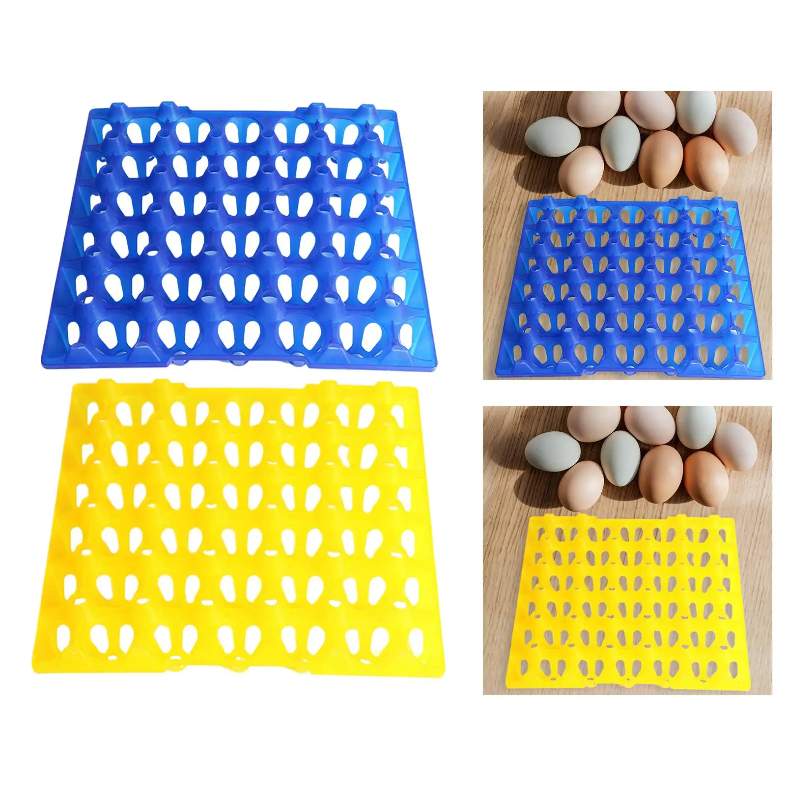 Bandeja vacía mostrando el material y el acabado del plástico