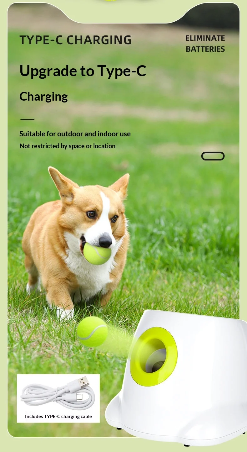 Juego automático para perros