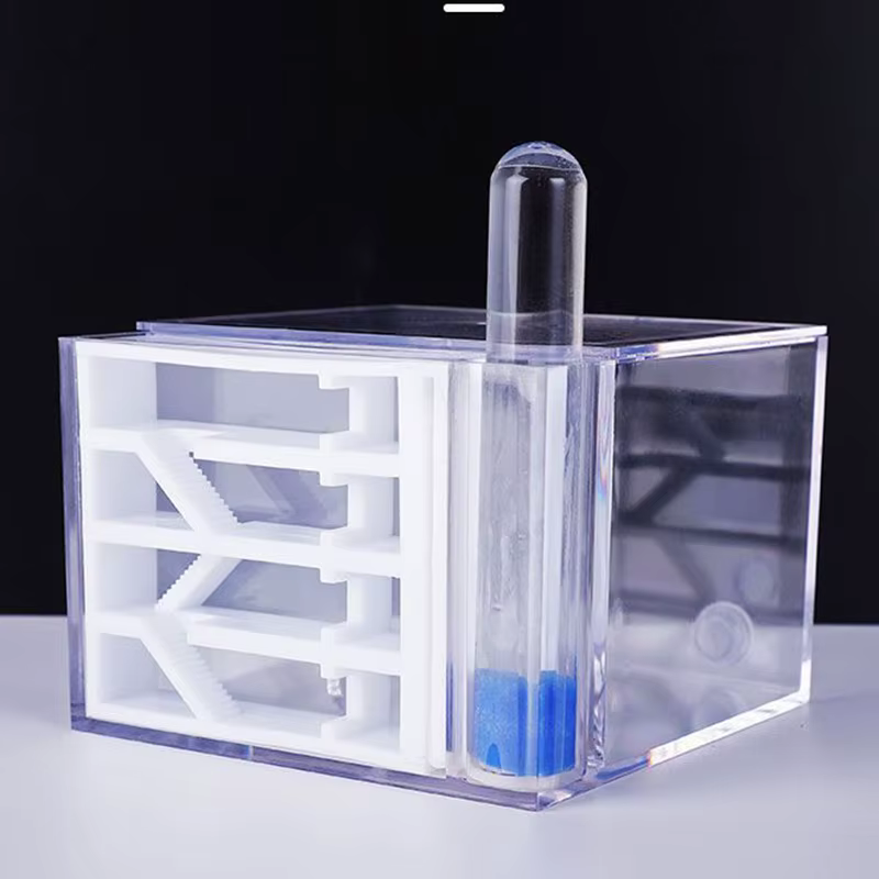 Formicario Ants Kingdom – Caja de observación de hormigas educativa - imagen 4