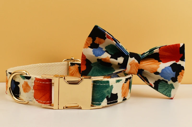 Conjunto de accesorios