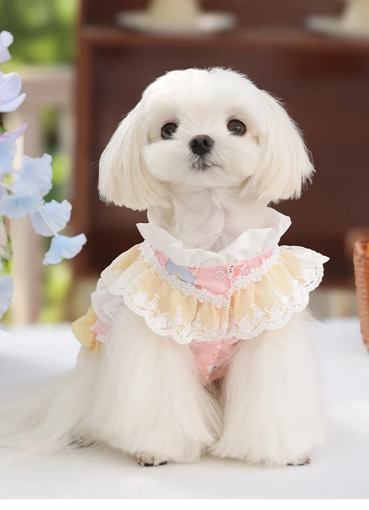 Vestido de encaje para perro pequeño en tono pastel