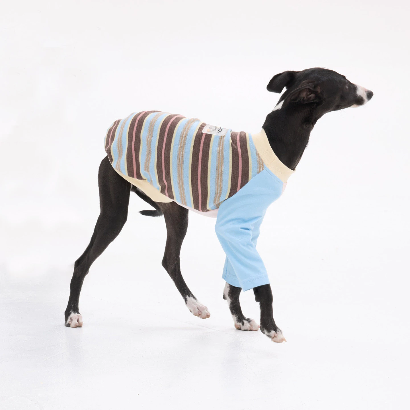 Abrigo de algodón a rayas para perros Galgo Italiano y Whippet