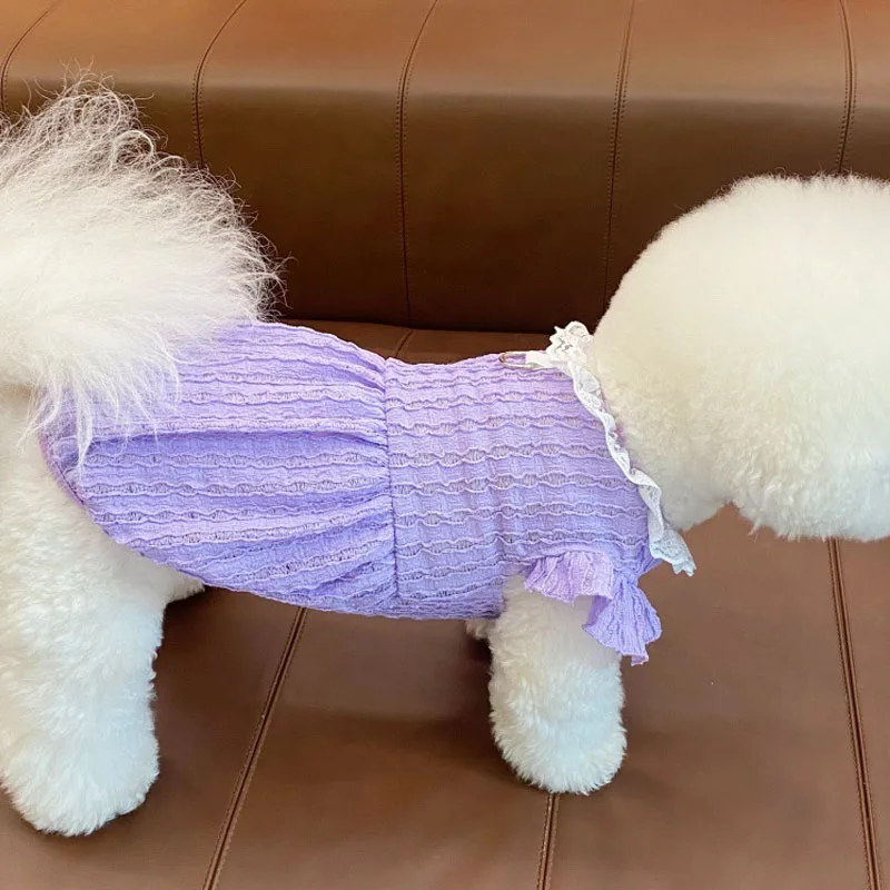 Confort para mascotas pequeñas