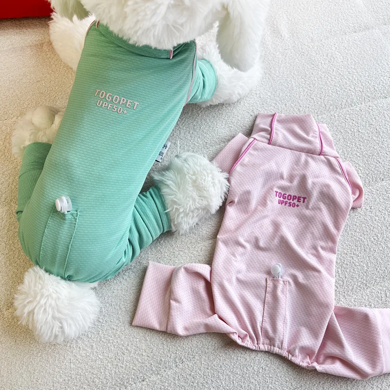 Prenda de malla protectora en mascota