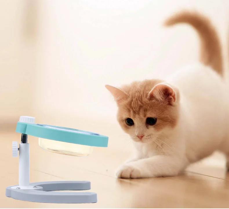 Comedero recomendado para gatos y perros pequeños