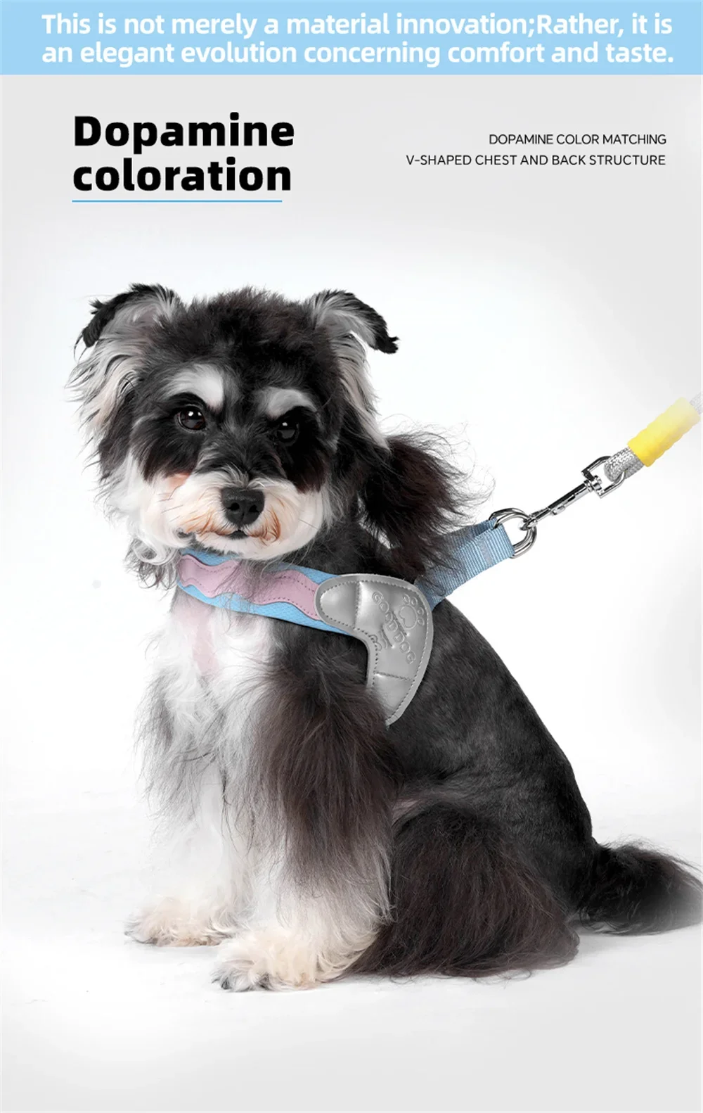 Conjunto de arnés y correa para pasear perros pequeños