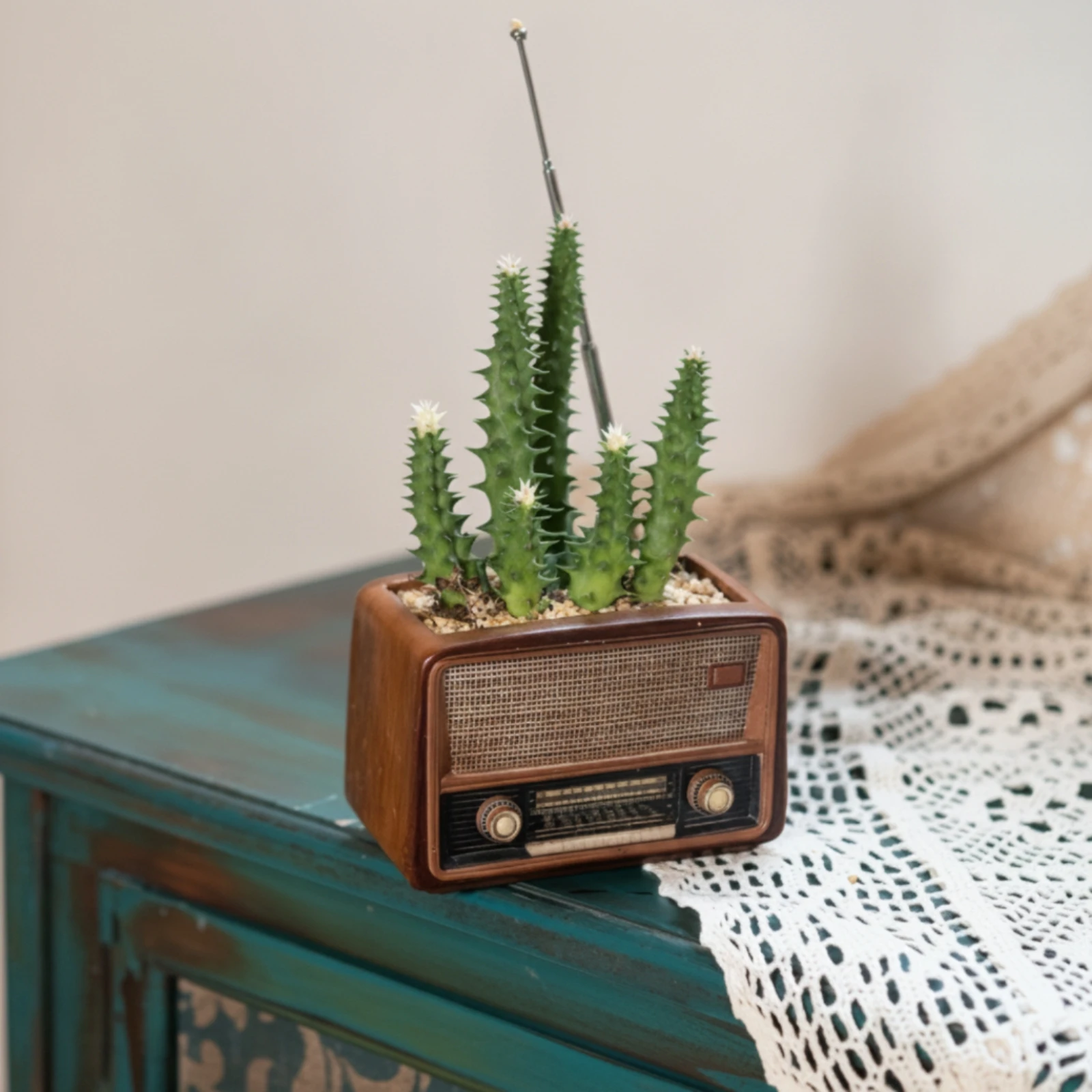 Maceta vintage radio para hierba gatera – Planta natural para gatos