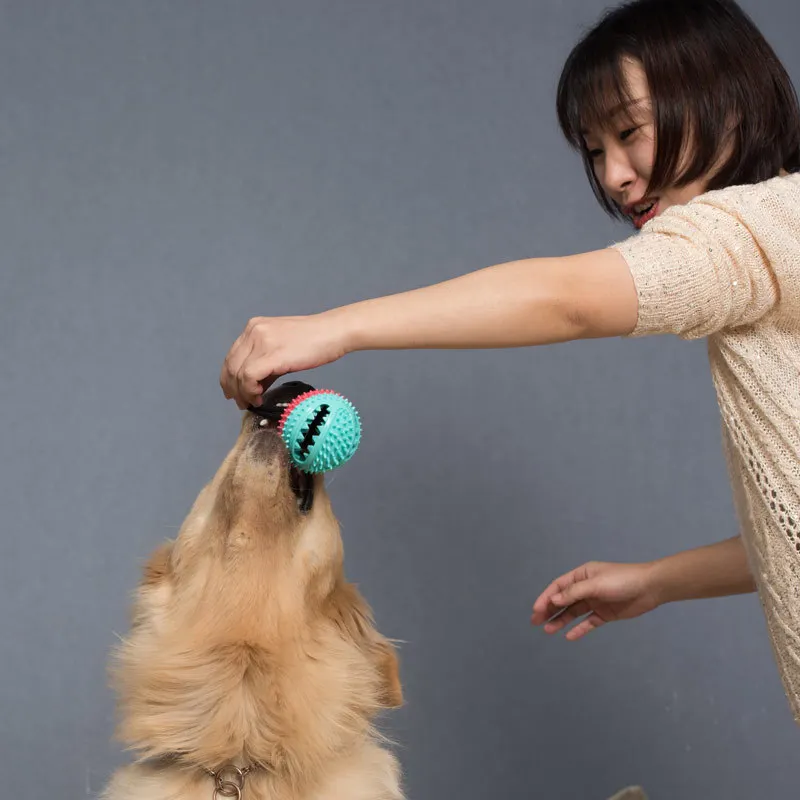 Juguete masticable para perros con campana y pelota dispensadora - imagen 3