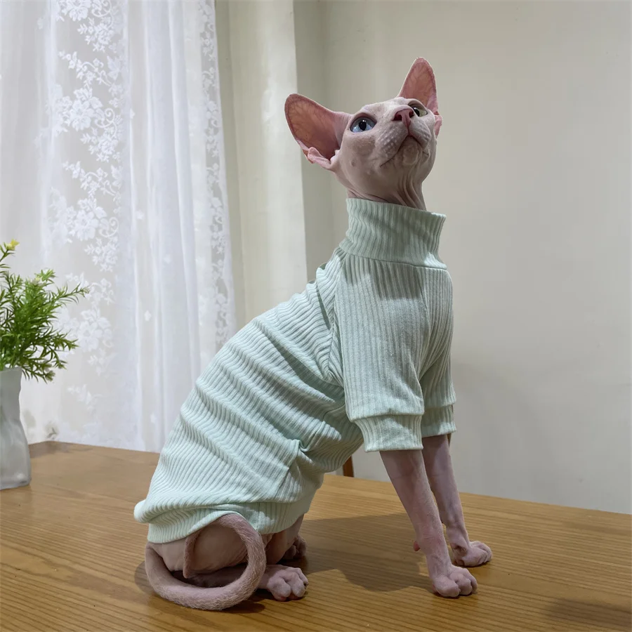 Guía de tallas aplicada a un gato