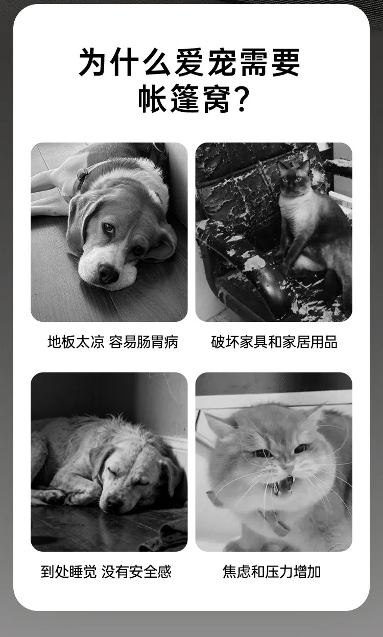Cama elevada para perros pequeños y gatos