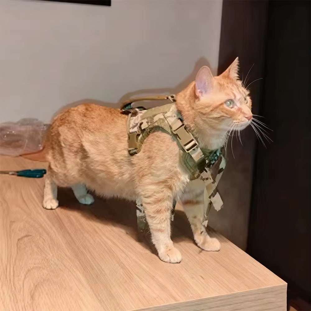 Arnés para Gato con Asa de Elevación – Ajustable y Transpirable - imagen 4