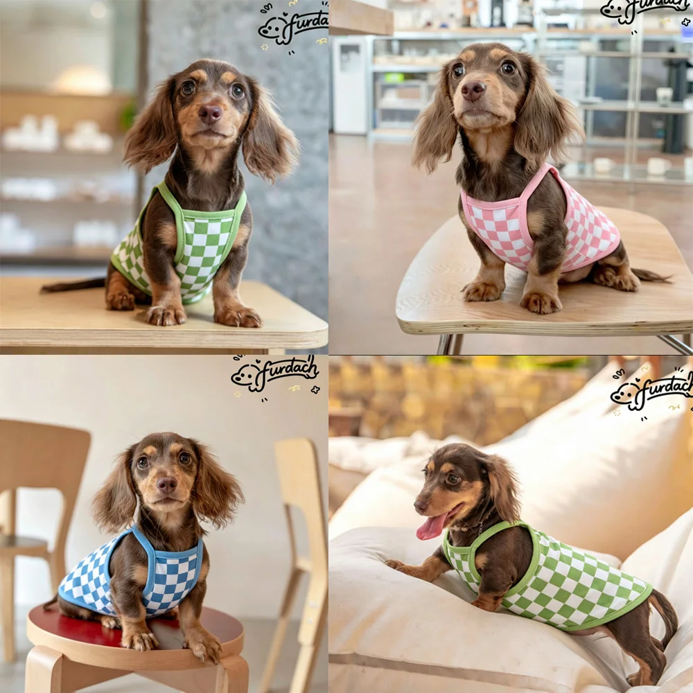 Camiseta transpirable de algodón para perritos Dachshund (Teckel) - imagen 4