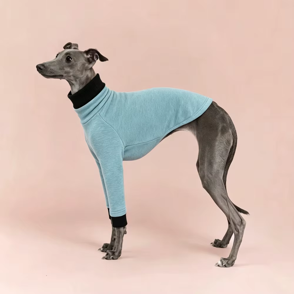 Camiseta perro cuello alto algodón elástico manga larga Galgo Italiano - imagen 4