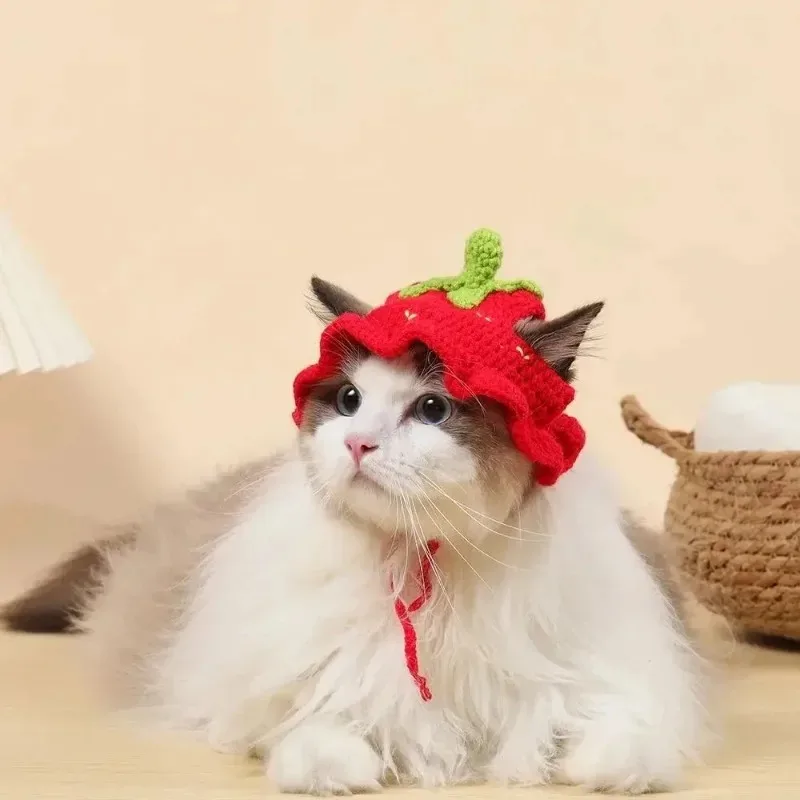 Gorro cálido de invierno para gatos y cachorros - imagen 4
