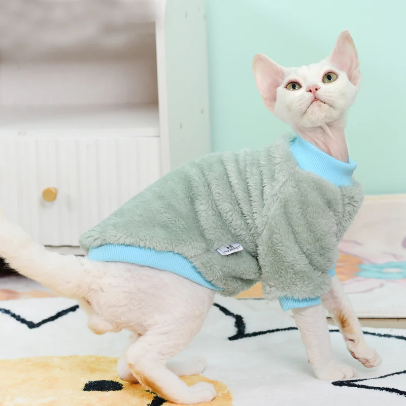 Mono puesto en gato Devon Rex
