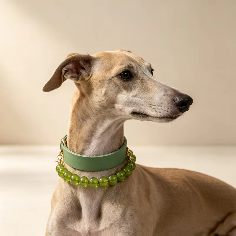 Collar de perro con gemas naturales y cuero genuino – Uso diario - imagen 3