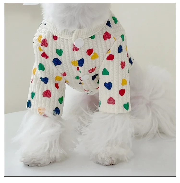 Gato vestido con el cárdigan