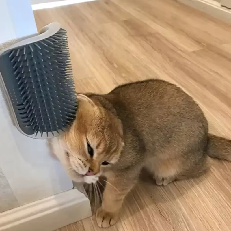 Gato usando el rascador de esquina con cepillo
