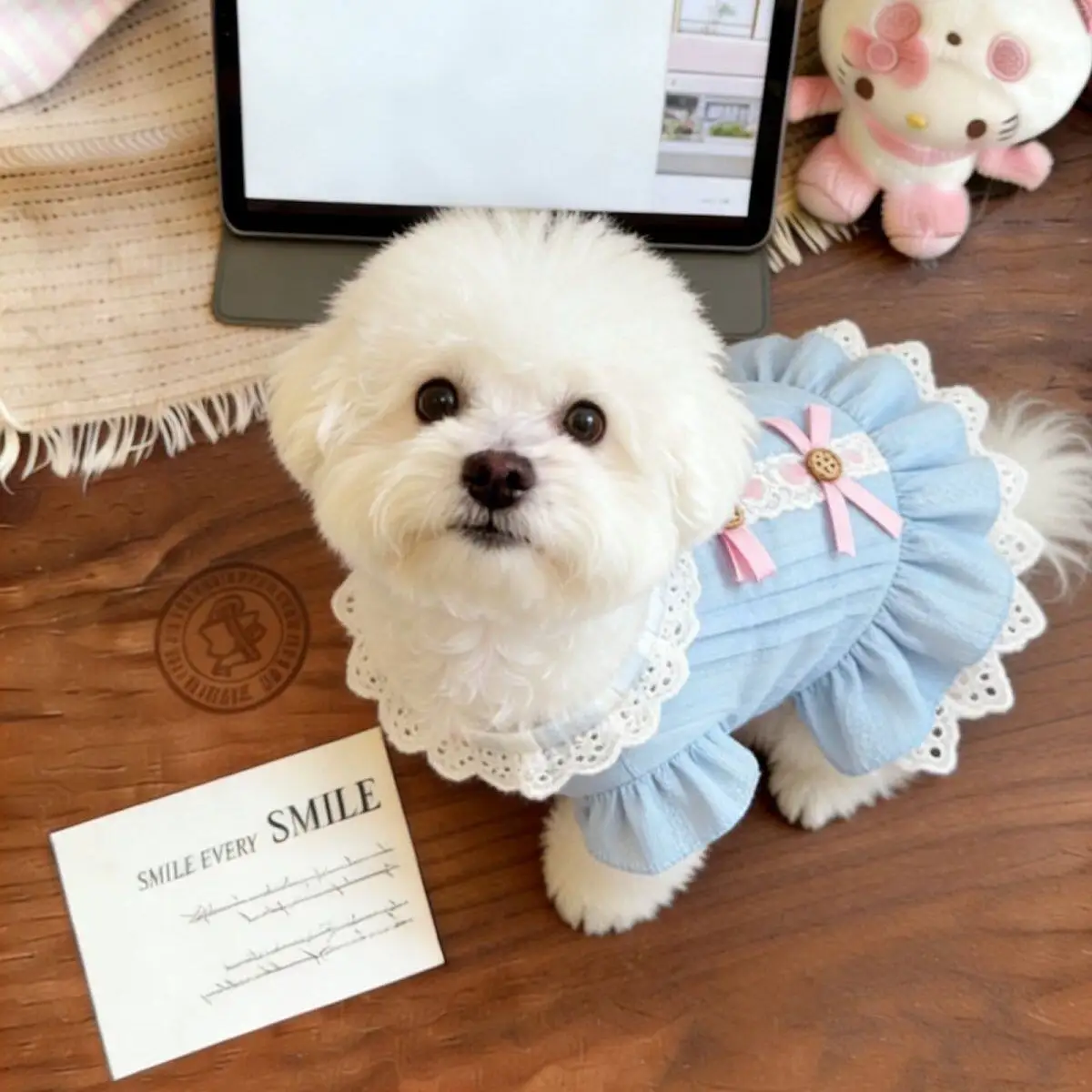 Vestido para perros pequeños y gatos