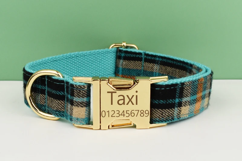 Conjunto de correa y collar para perro con pajarita