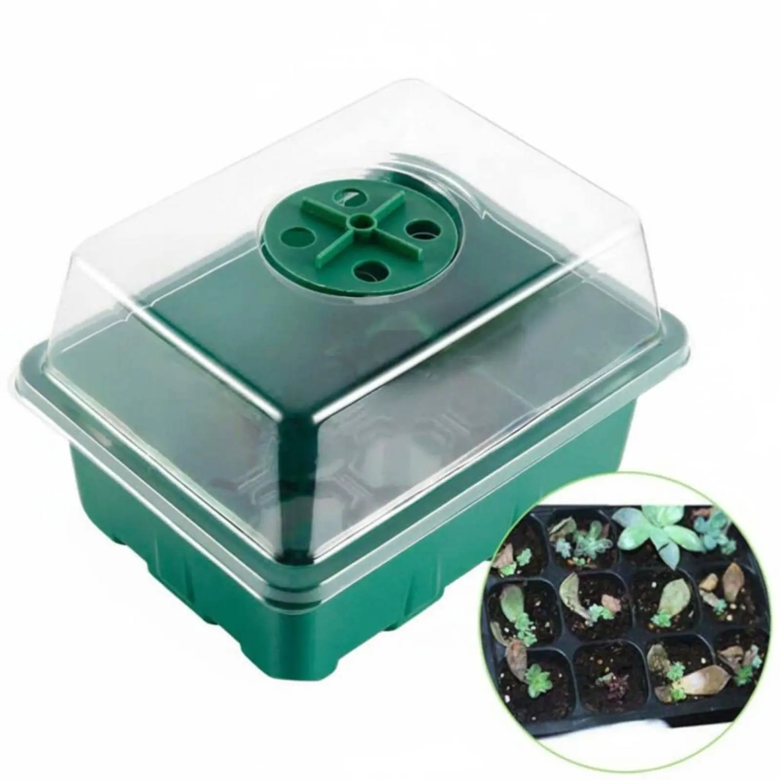 Kit de germinación reutilizable de brotes con bandeja de compartimentos - imagen 4