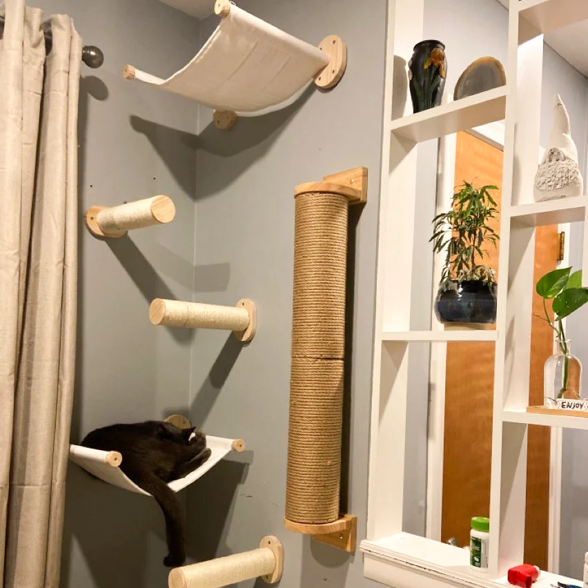 Escaleras y plataformas para gatos