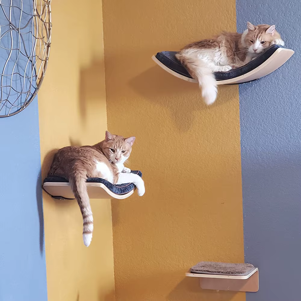 Estantes de escalada para gatos con hamaca curva y rascador en pared - imagen 2