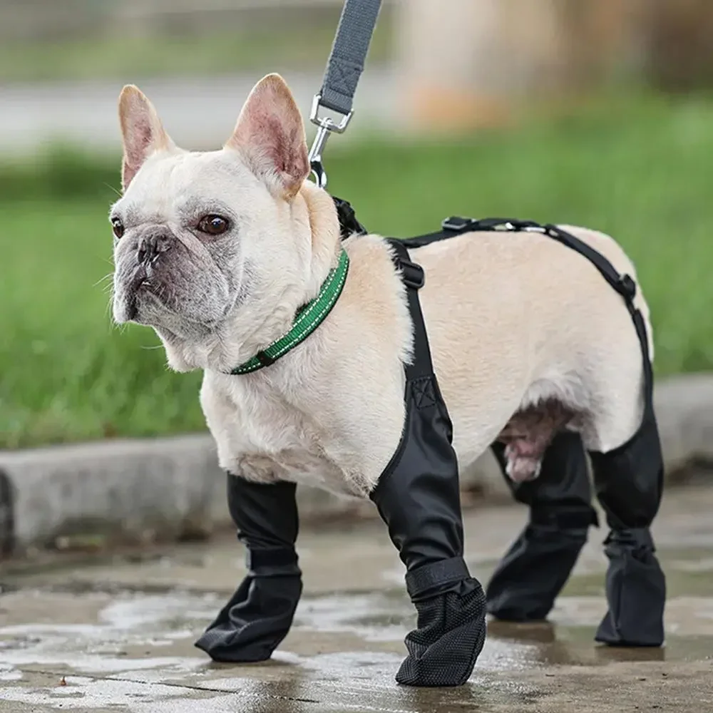 Zapatos ajustable para perros con hebilla
