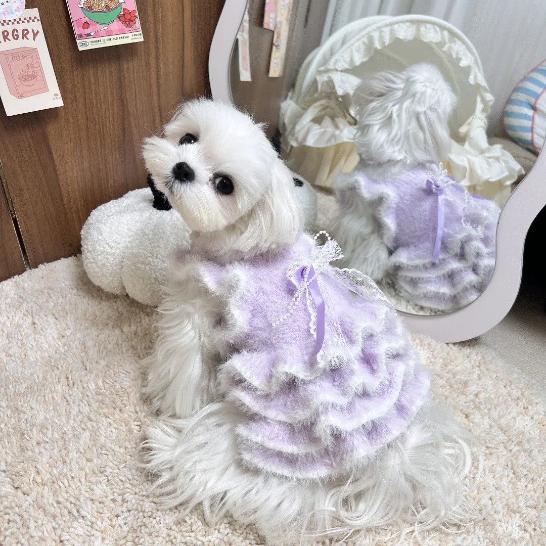 Mascota usando el vestido en interior acogedor