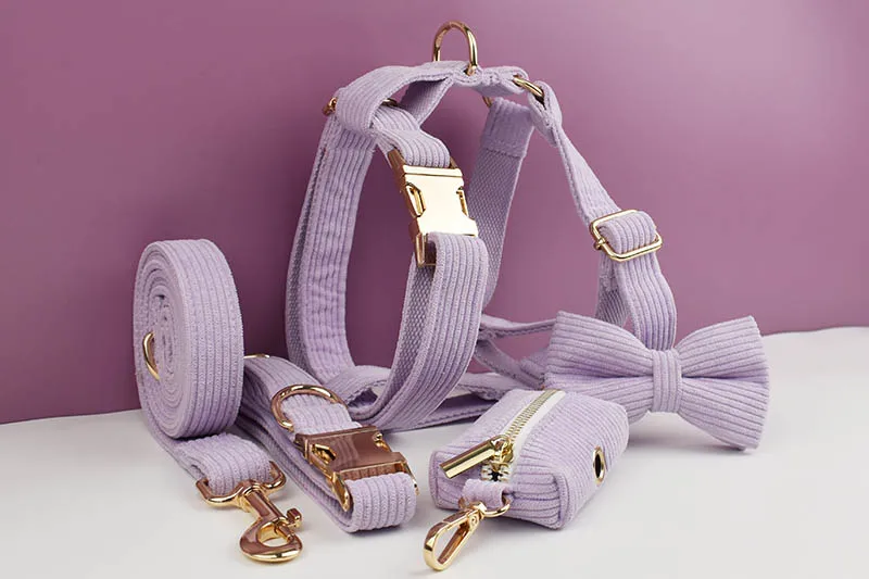 Correa de pana morada para perros