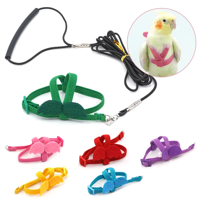 Arnés de loros con diseño de alas y colores