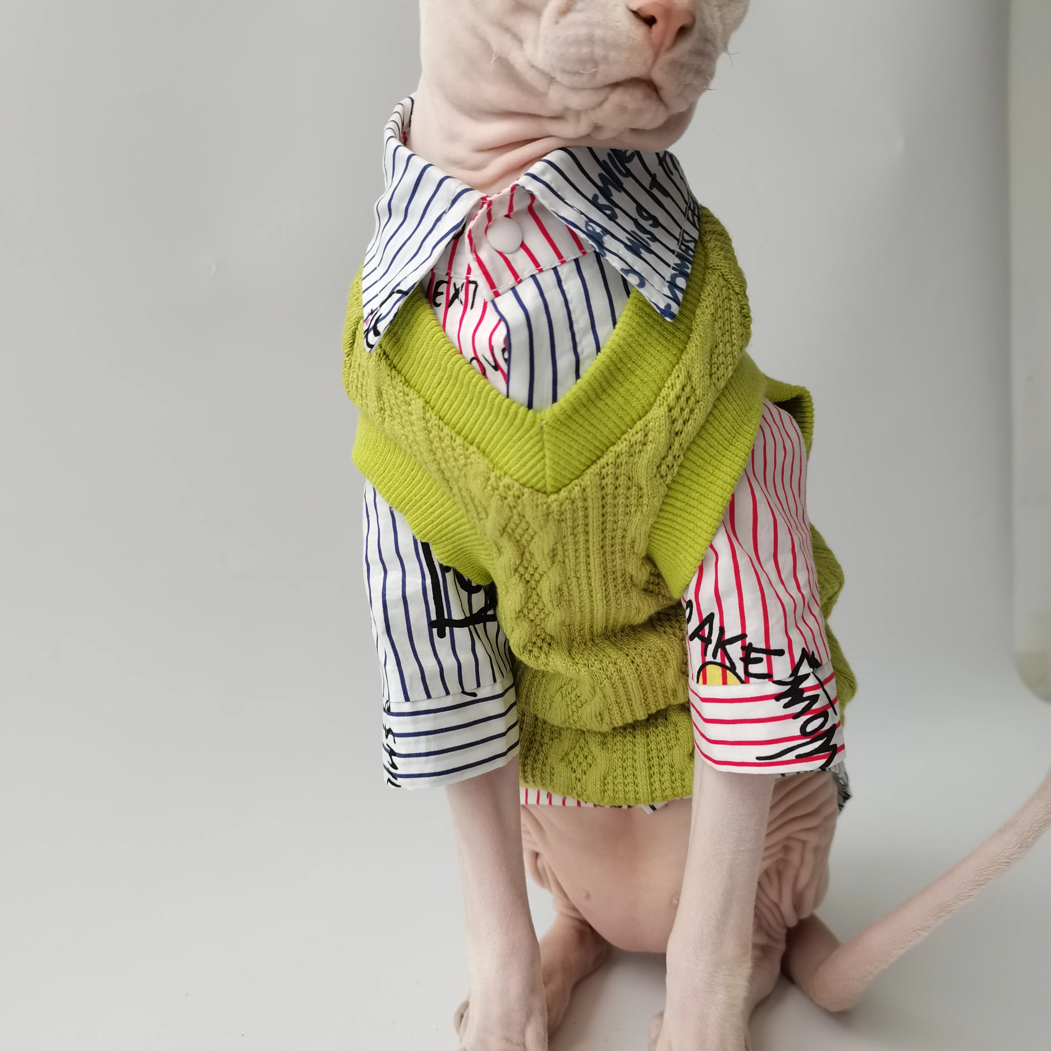 Conjunto caballero británico para Sphynx - uso diario
