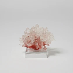 Escultura Coral Oceánica con Base Acrílico – Adorno Decorativo para Hogar