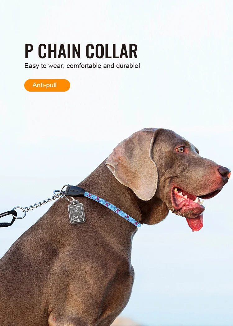 Collar Truelove-Chain P reflectante