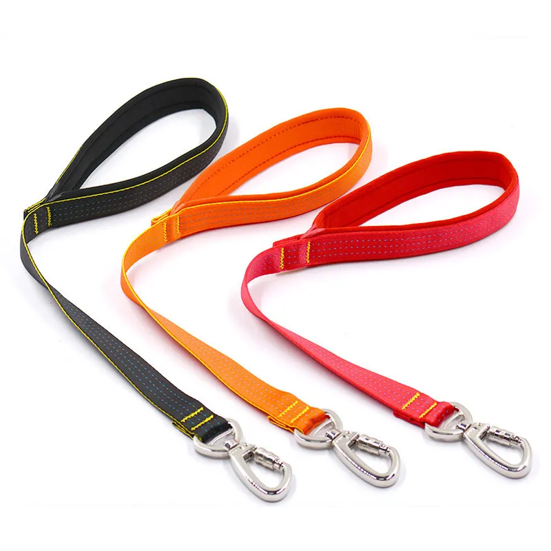 Correa de nailon para perros vista completa