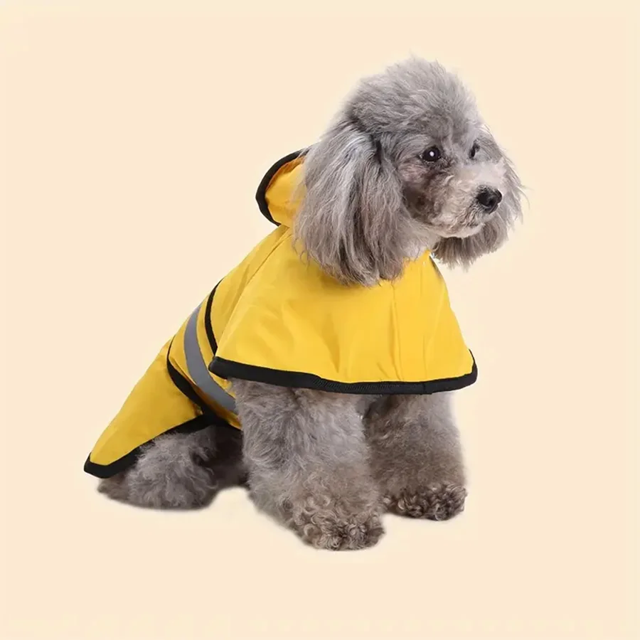 Perro con impermeable rojo