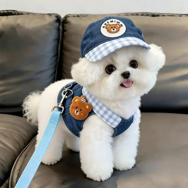Arnés tipo chaleco, correa y gorro para perros y gatos pequeños