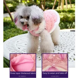 Abrigo acolchado con capucha para perros y chaqueta cálida para gatos