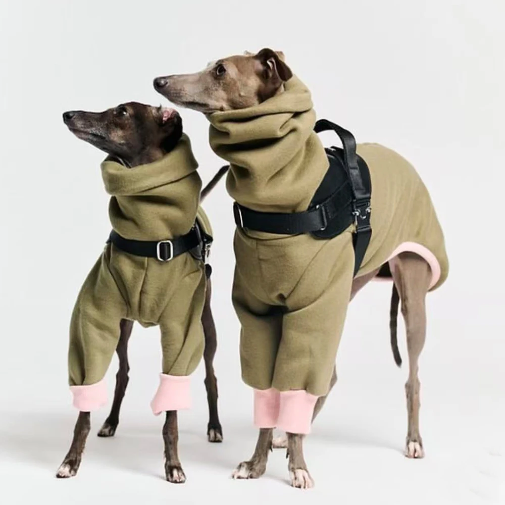 Camiseta de manga larga con cuello alto para perros de caza