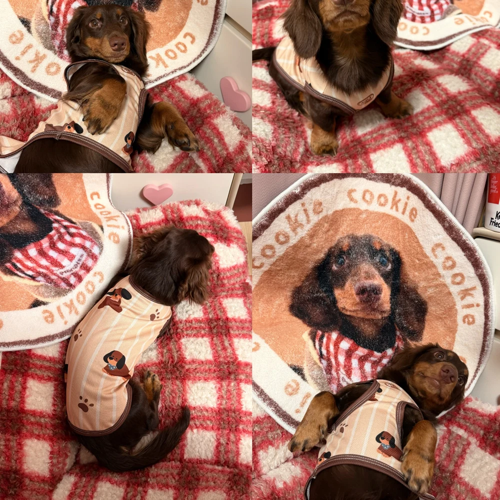 Chaleco para perros salchicha