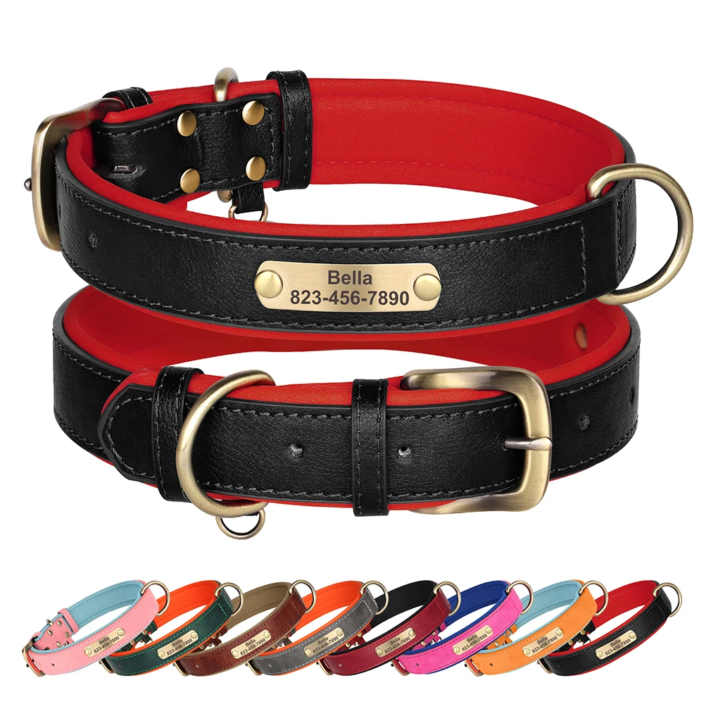 Collar en perro grande