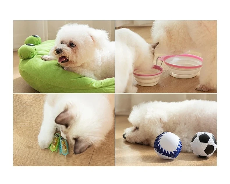 Pelota de espinas para perros con sonido integrado