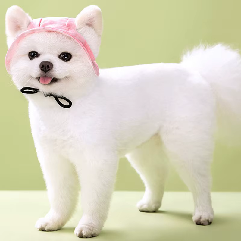 Gorra de béisbol ajustable para perro y gato con agujeros para orejas - imagen 4