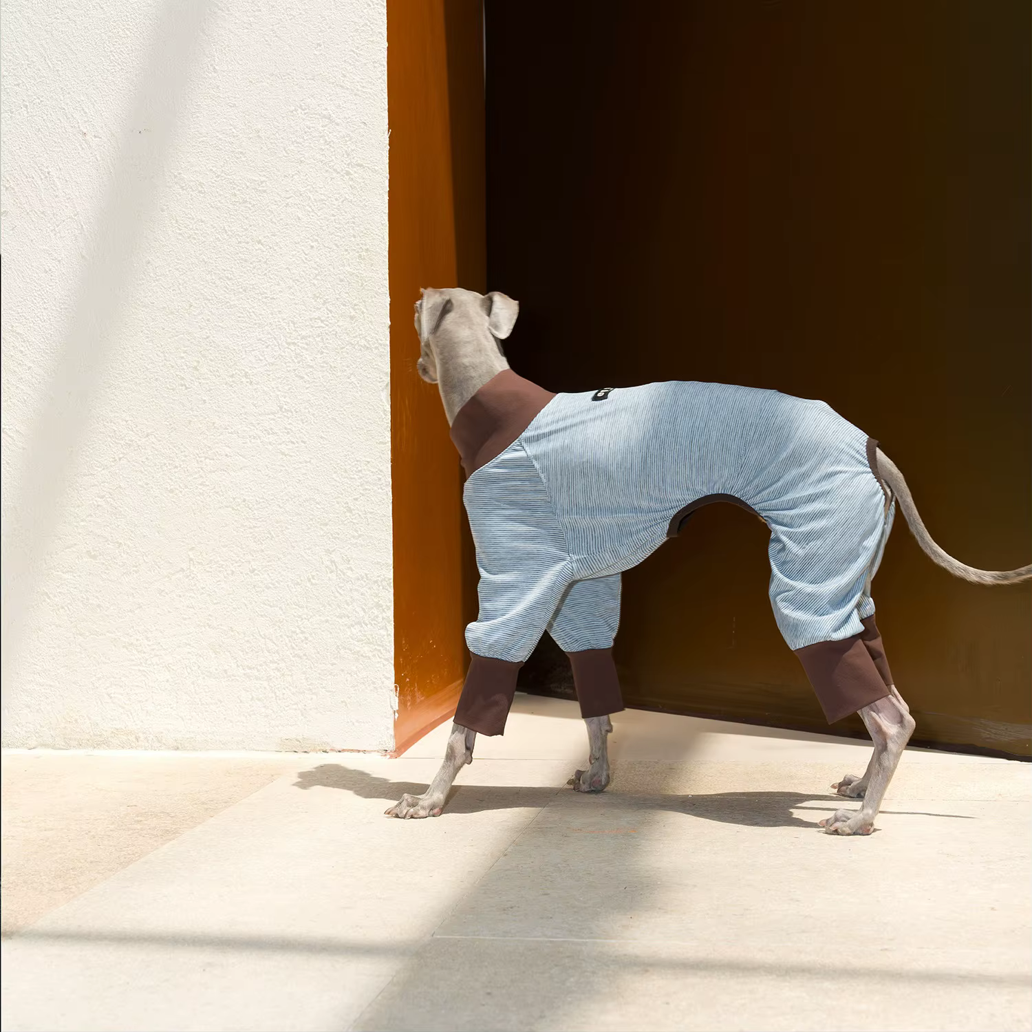 Camiseta refrescante Ice-Skin a rayas para galgos italianos y Whippet - imagen 2
