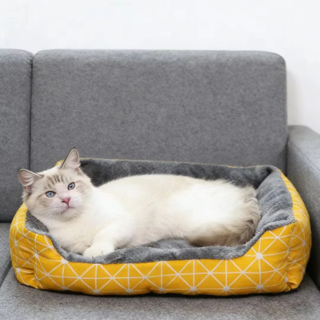 Mascota disfrutando de su nueva cama