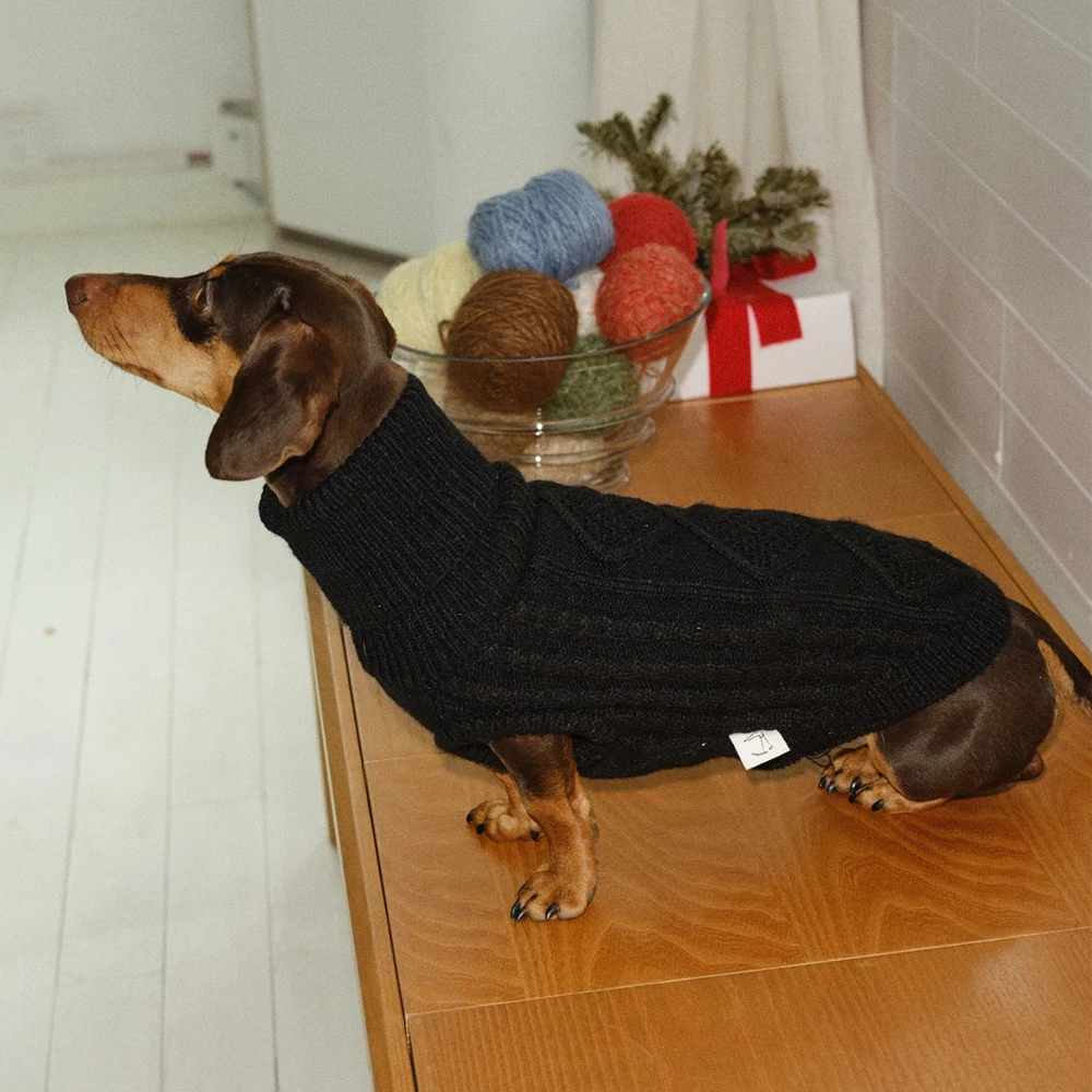 Abrigo de invierno para perros salchicha: suéter manga larga - imagen 2