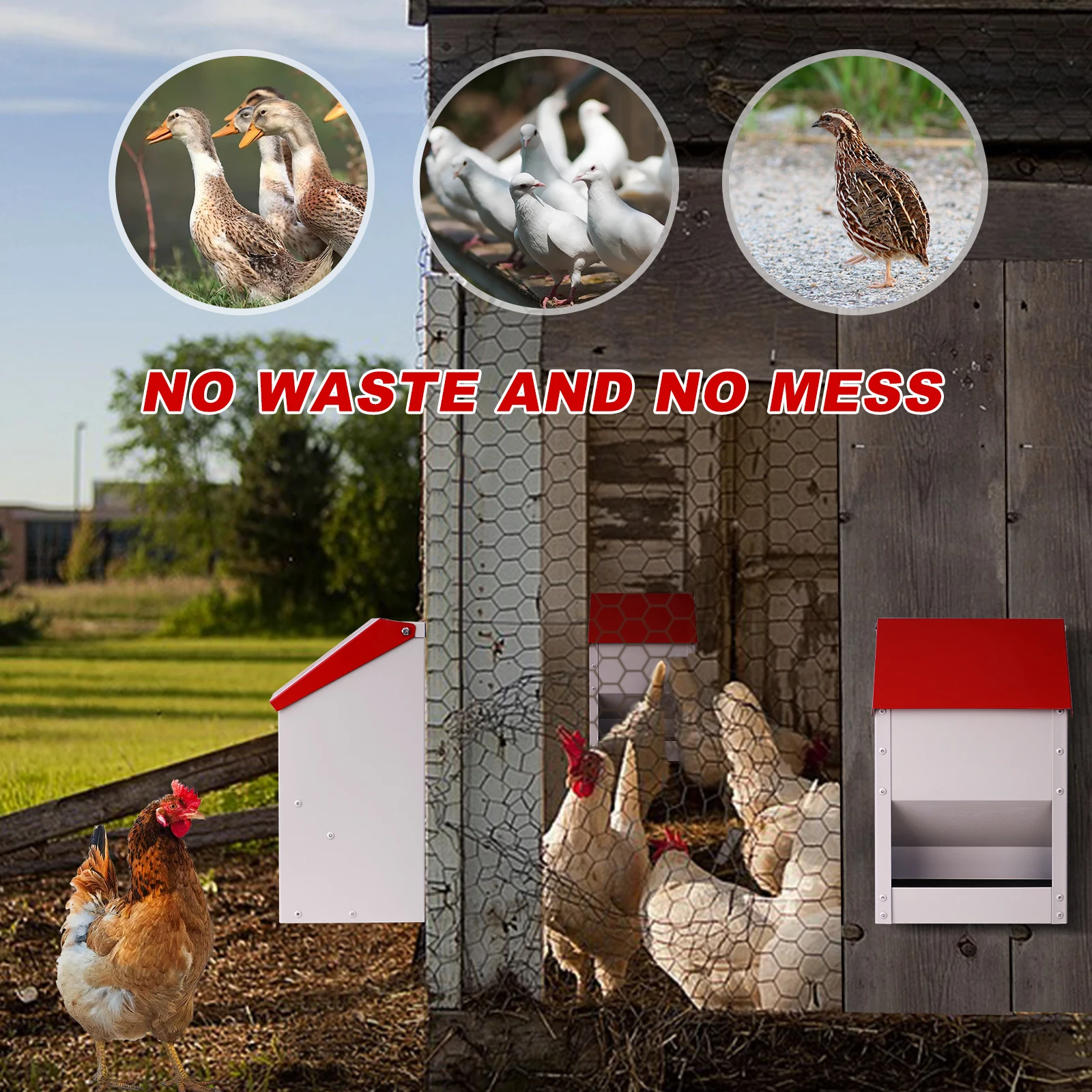 Comedero metálico para aves de corral – Antidesperdicio y resistente al exterior - imagen 5