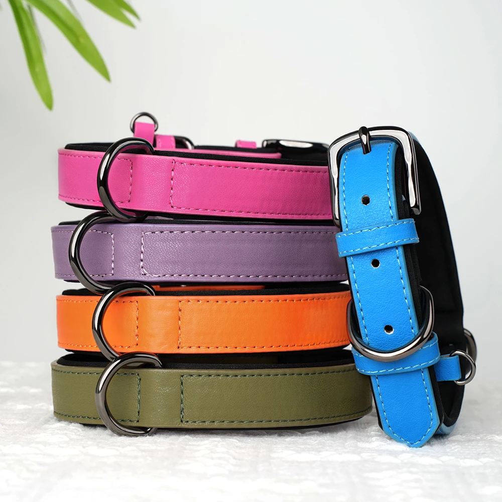 Collar en color morado para perros medianos