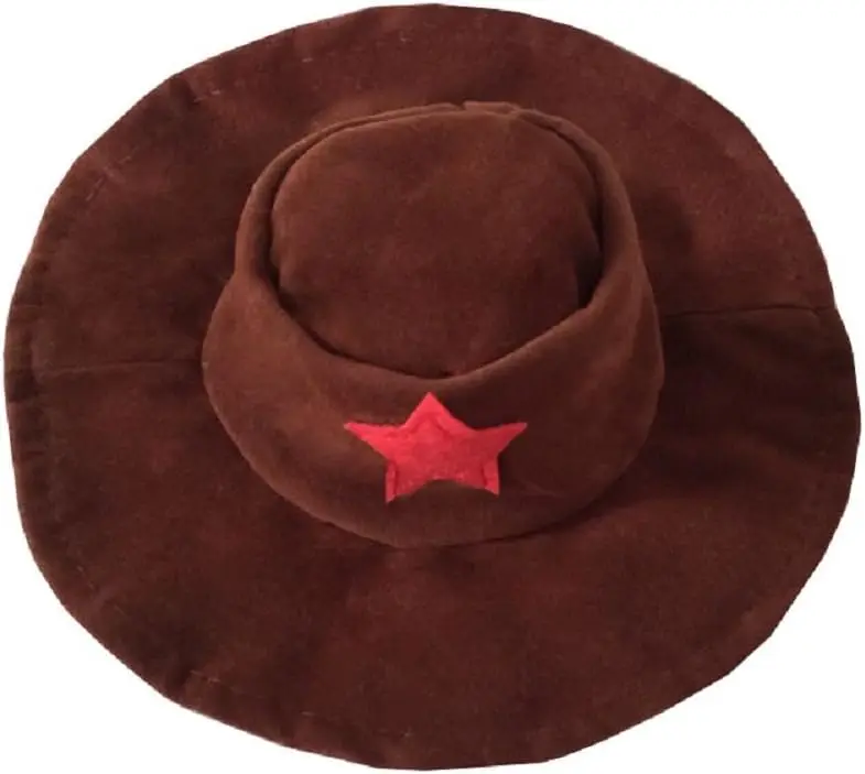 Disfraz vaquero para mascota – evento