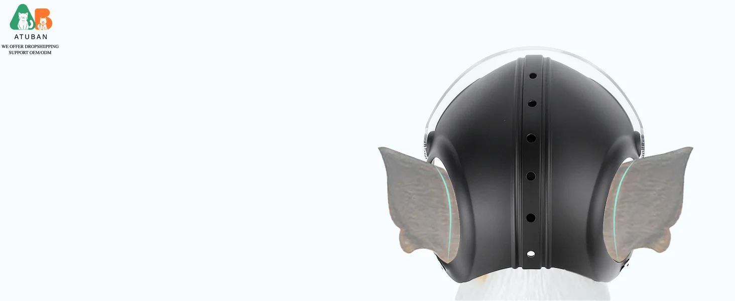 Visera protegida